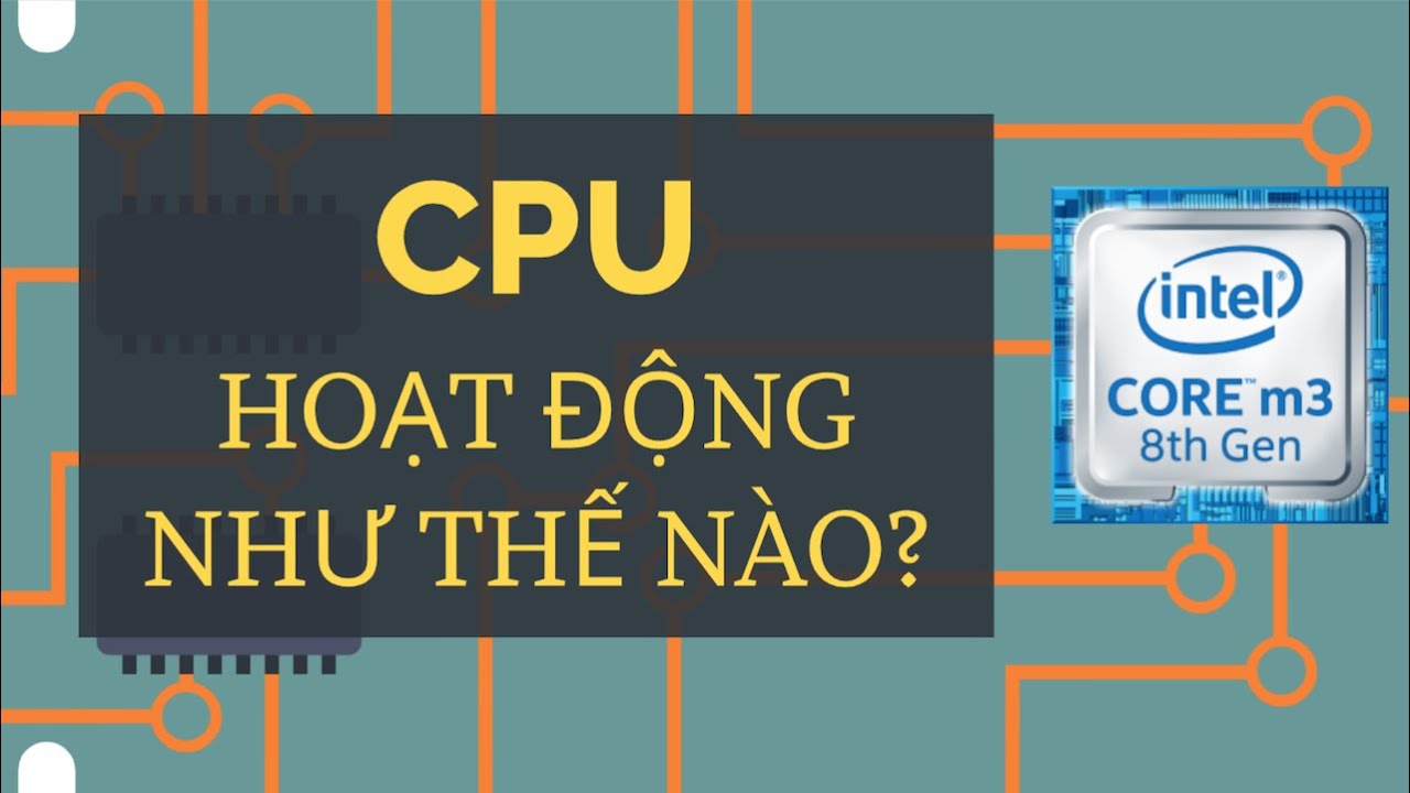 BỘ VI XỬ LÝ TRUNG TÂM (CPU) HOẠT ĐỘNG NHƯ THẾ NÀO - KHOA HỌC MÁY TÍNH TẬP 7 | Tri thức nhân loại