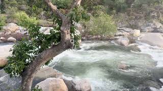 30 Min Pure River Sounds | Natural Water Flow Ambience for Relaxation, Sleep & Study