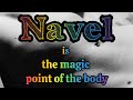 Everything About The Navel The Magic Point Of The Human Body