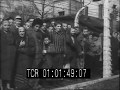 Mise en scène à Auschwitz : quand l'Armée rouge a filmé les camps de la mort