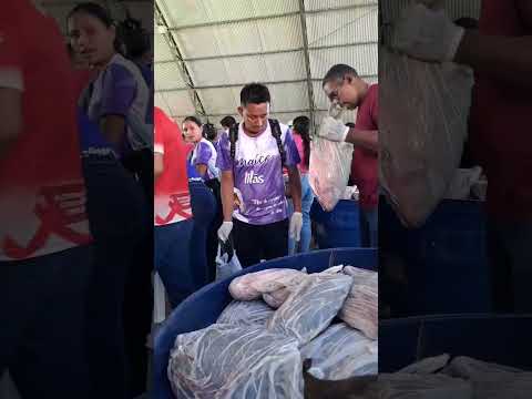 A distribuição de peixe na quinta-feira santa,em Santa Isabel do Rio Negro-AM.