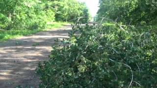 preview picture of video 'July 19, 2011 storm damage'