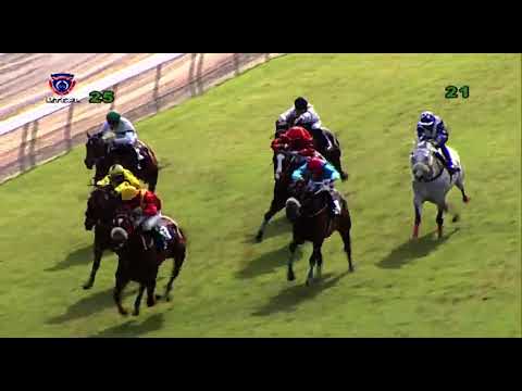 RM2 R5 | Dynamite Jack | J.Allyhosain