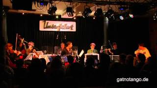 anthropogen gestörter wuchsplatz 7: forsythienblühen