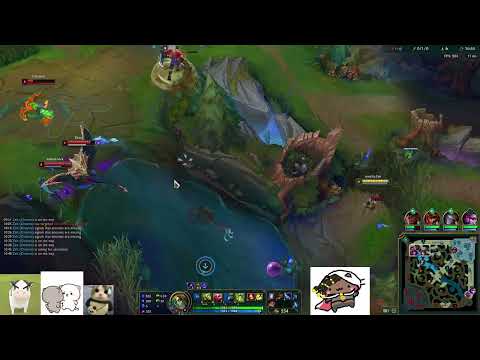 duoking1 — Zyra Support vs Braum — 02 Nov 2023