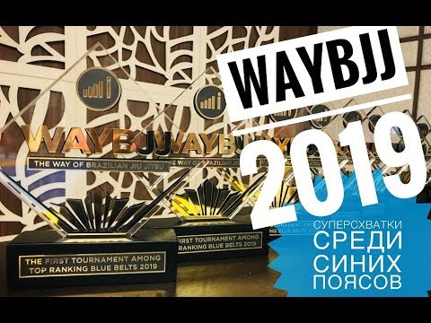 WayBJJ / Суперсхватки среди синих поясов / BJJ Blue Belts 2019