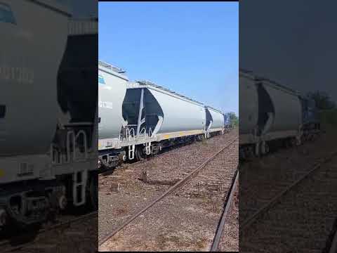 OTRO TOLVERO del #ferrocarrilurquiza  x Villa Domínguez Entre Ríos Argentina