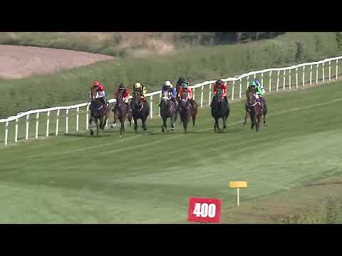 2023.09.02. 5. Futam - TATTERSALLS - OVERDOSE DÍJ (HUN Gd-2) (NGL-IX.)