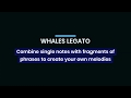 Video 4: Whales and Hendrix Legato