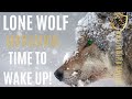 Lone Wolf Motivation Self Rebellion For Those Fighting Battles Alone Self Sacrifice