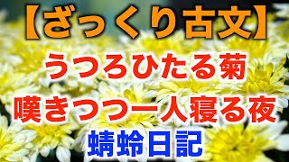 授業解説 和泉式部日記 夢よりもはかなき世の中 Watch Hd Mp4 Videos Download Free
