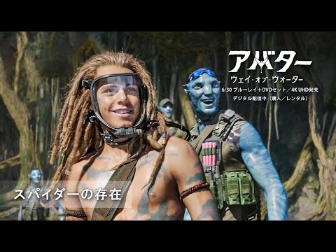 スパイダーの存在（字幕版）