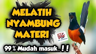 Download lagu 99,9% Cepat masuk ! MASTERAN MURAI BATU FULL ISIAN TEMBAKAN MEWAH‼️ mp3