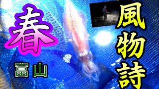 【富山】光るアイツを網で捕まえられる場所があるらしい【ホタルイカ】