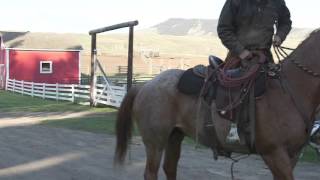 North of the Border Buckaroos Trailer