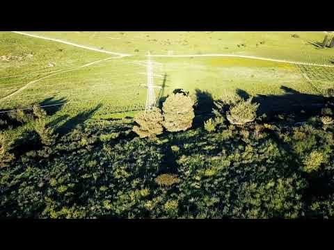 Menashe Forests from above - DJI Mavic Pro