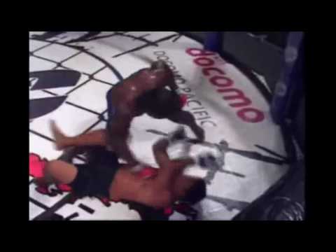 Robert Washington MMA highlights