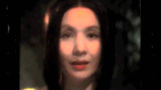 Broadcast, Echo&#39;s Answer (live)