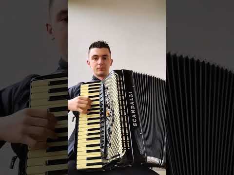 Bugio De Fole Solto - Os Monarcas