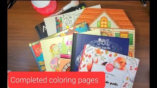 Completed pages November 2025 | Adult Coloring