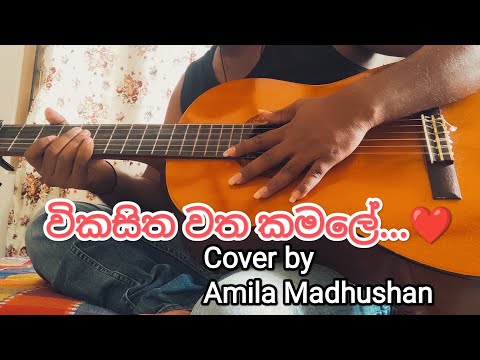 Sanath Nandasiri - Vikasitha watha kamale - Cover by Amila Madhushan