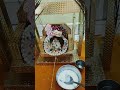 Radhe Radhe Bol Ringtone 🥹🥹🥹 ️ ️ ️