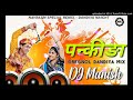 Pankhida O Pankhida Udane Jaaje Pavagadh Dj Remix Song Garab