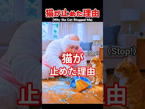 猫が私を止めた理由 #創作 #ai #shorts