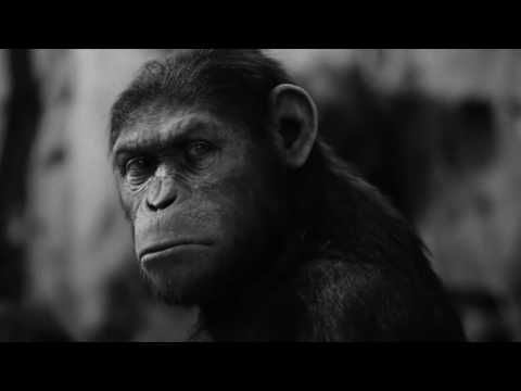 Will Sparks, Tyron Hapi & Luciana - Gorilla