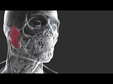 Parotid gland cancer