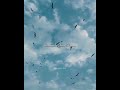 Main Agar Aestheticlyrics Edit Whatsappstatus Lovestatus Sadstatus Songlyrics Atifaslam
