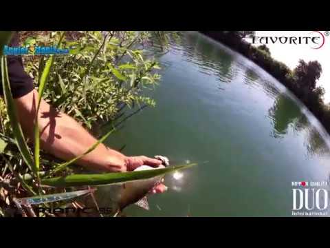 Duo Bay Ruf Manic 155 - Sea Bass Catch & Release