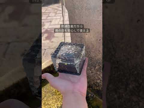 園芸 庭のLED技術