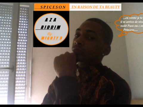 Spiceson   En Raison De Ta Beauty 2013
