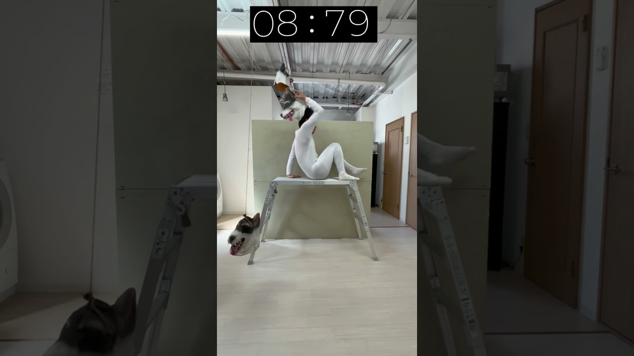 【World record for turning into a dog three times】#dog #challenge #funny