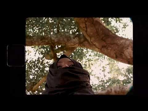 The Griot Promo Video