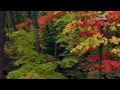 X JAPAN - YOSHIKI - Good Bye (Brilliant piano song ...