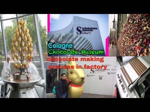 #DIML chocolate తయారుచేయడానికి ఇంత process ఉంటుందా ?/chocolate making video/chocolate museum cologne