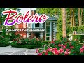 Tuyển Chọn 30 Bài Nhạc Trữ Tình Hay Nhất 2024 Ngắm Cảnh Đẹp Đường Phố Thụ