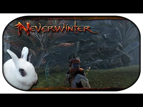 NEVERWINTER: Paladin-LP 🐇 92 - Nicht-unsichtbare Nichtwand-Wand