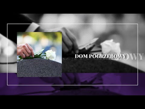 Zobacz filmy filmy