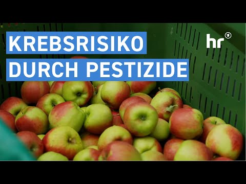Pestizide auf Äpfeln - Kein Problem? | alles wissen