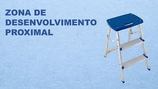 ZDP, Zona de Desenvolvimento Proximal, Vygotsky, Piaget, andaime, desempenho, desempenho assistido