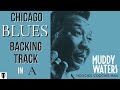 Blues Hoochie Coochie Man backing track | Muddy Waters Jam in A