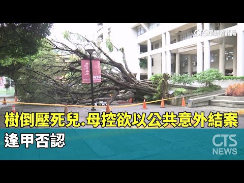 樹倒壓死兒　母控「欲以公共意外結案」　逢甲否認