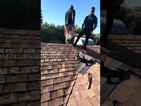 State Farm Claim 0391L762Z