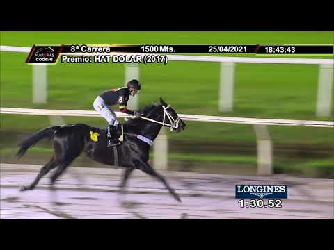 210425 c08 OSOJA (BRZ)