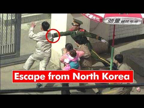 10 Most Incredible Escapes Caught On Camera