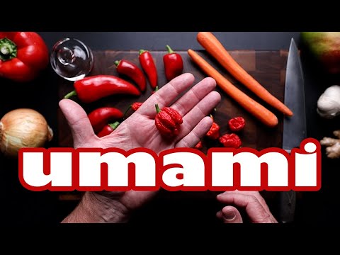 The BEST FERMENTED HOT SAUCE (How to Pt 1)