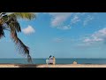 A Picnic To The Beach Artistic Minimal Video
